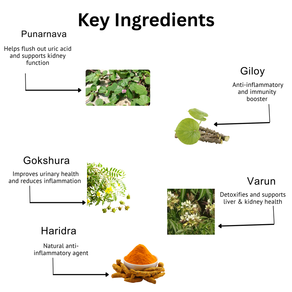 Neutro Herb URIC O CARE – Herbal Capsule (60 Capsules)