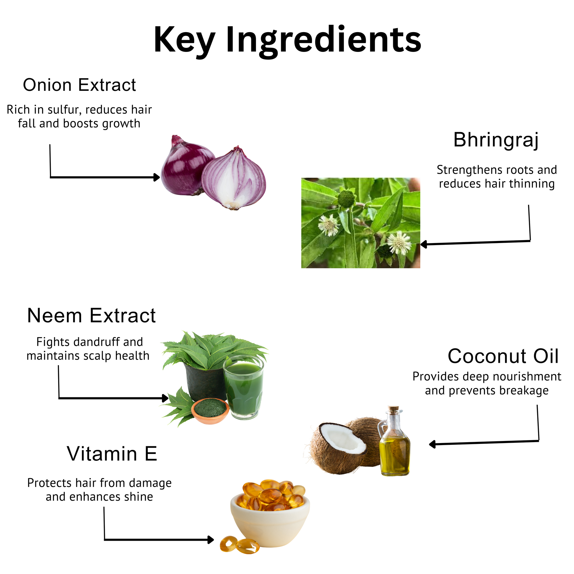 NEUTRO HERB – ONION SHAMPOO
